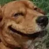 benjaminbannister8 - @benjaminbannister8 - TikTok