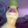 Benjamín Baran - @benjaminbaran_ - TikTok