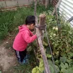 Benjamin bargas - @bargas735 - Instagram