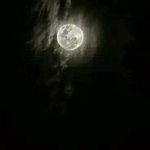 Benjamin Bargas - @bargas1146 - Instagram