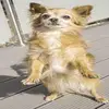 BenjaminBarlow - @user3296171085173 - TikTok