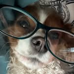benji - @benjamin.barney - Instagram
