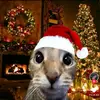 Benjamin Albarrassim - @benjamin.albarras - TikTok