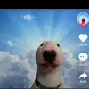 Benjamin Barrientos - @benjacrf230 - TikTok
