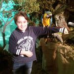 Benjamin Barrientos - @benja.btos - Instagram