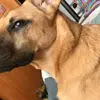 Benjamin Barrientos - @benyi.voss - TikTok