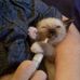 Benjamin Barringer - Facebook