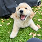 Benjamin Barry - @bennyboobarry - Instagram