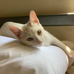 Bartholomew & Benjamin - @bartholomewandbenjamin - Instagram