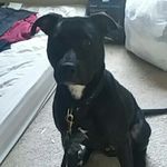 Benjamin Augustus Bartholomew - @bejaminaugistus - Instagram