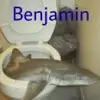 Benjamin Bartholomew III - @gallagherarrived - TikTok