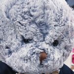 Benjamin Bartholomew IV - @benj.i_bear - Instagram