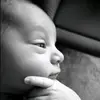 Benjamin Bartholomew the III - @moe.lester6741 - TikTok