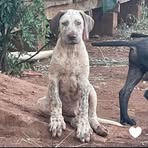 Benji Bartholomew - Facebook