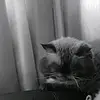 Bartoloméo Benjamin - @bartolomeobenjamin - TikTok