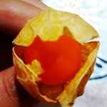 بنیامین بشیری (تبلیغات) - @benjamin_bashiri_2 - Instagram