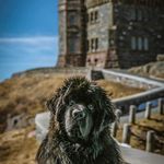 Benjamin Battiste - @bbattiste81 - Instagram