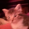 benjaminfierbaugh - @benjaminfierbaugh - TikTok