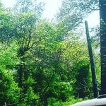 Benjamin Baughman - @ben.baughman2008 - Instagram