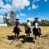 Ibáñez_benjamin - @benjaminibaezmora - TikTok