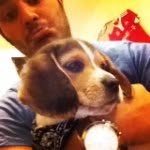 Benjamin The Adorable - @benjamin_the_beagle - Instagram