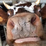 Benjamin beard - @benjaminbeard6 - Instagram
