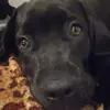 Benjamin Becerra - @benjamin.becerra93 - TikTok