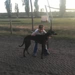 Benjamin Becerra - @benjamin.becerra.733076 - Instagram