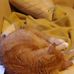 Benjamin Becher - Facebook