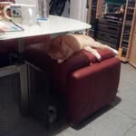 Benjamin Becher - @becher_benjamin - Instagram