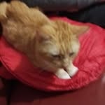 Benjamin Becher - @benjamin.becher.792 - Instagram