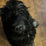 Benjamin Beckham - @benb12306 - Instagram