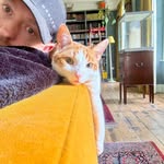Benjamin Bee - @benjaminjbee - Instagram