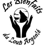 Benjamin Beguin - @les.bienfaits.du.loup.argente - Instagram