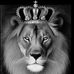 Ben Behrendt - Facebook