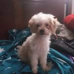 Benjamin Bejarano - @bejaranobenjamin22 - Instagram