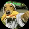 EVADE - @benjaminbejarano33 - TikTok