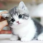 Benjamin Bella - @benjaminbella984 - Instagram