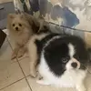 benjaminbellassai3 - @benjaminbellassai3 - TikTok