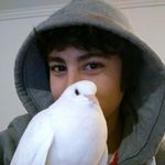 Benjamín Benavídez - @83n4v1d35 - Instagram