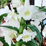 Benjamin Bender - @benjaminbender280 - Instagram