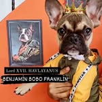 @benjaminbobofranklin - Instagram