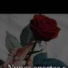 benjaminborja517 - @benjaminborja517 - TikTok