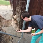 Benjamin Bornmann - @bornmannbenjamin - Instagram