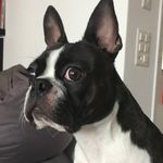 Benjamin_boston - @benjamin_boston - Instagram