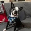 BenjaminBostons - @benjammin947 - TikTok