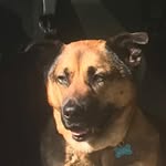 Benjamin Bowen - @bpbowen63 - Instagram