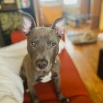 Benjamin Andre Boynton - @i_sirbenji - Instagram