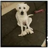 @Benjamin Brack - @benjaminbrack72 - TikTok