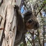 Benjamin Paul Bramble - @person801 - Instagram